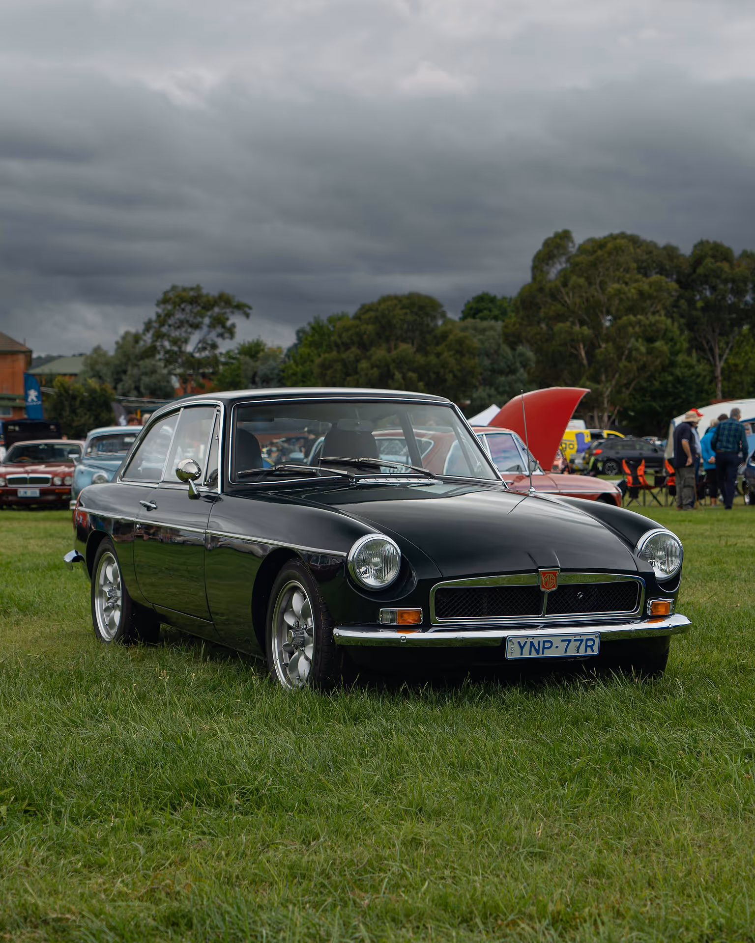 A car parked on grass